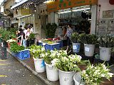 Kowloon Marche aux fleurs 215